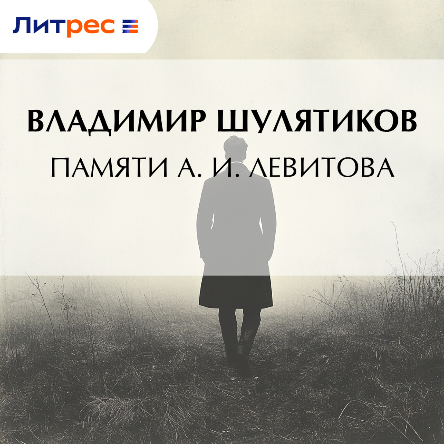 Обложка книги «Памяти А. И. Левитова»