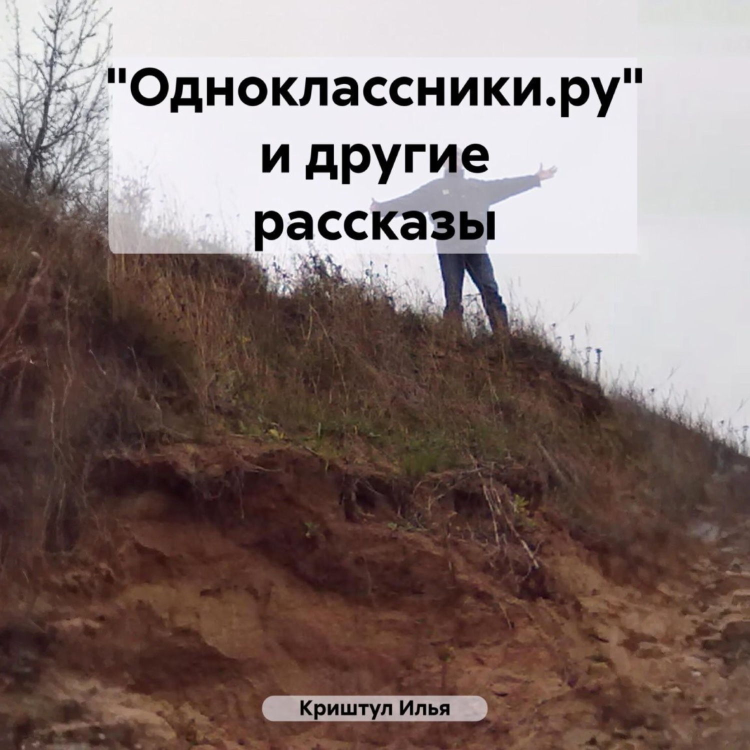 Обложка книги ««Одноклассники.ру» и другие рассказы»
