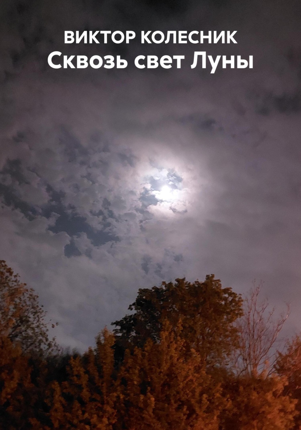 Обложка книги «Сквозь свет Луны»