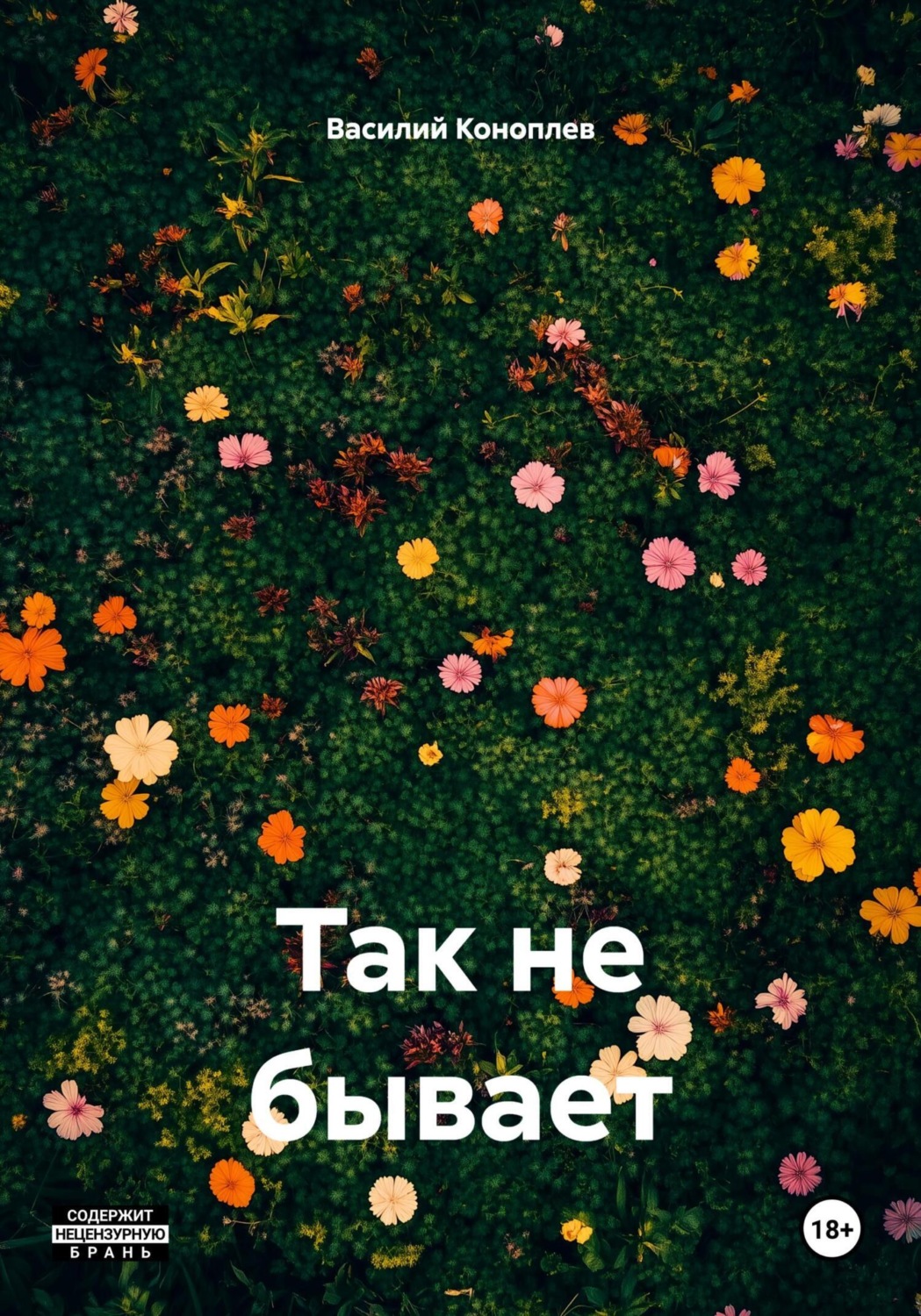 Обложка книги «Так не бывает»