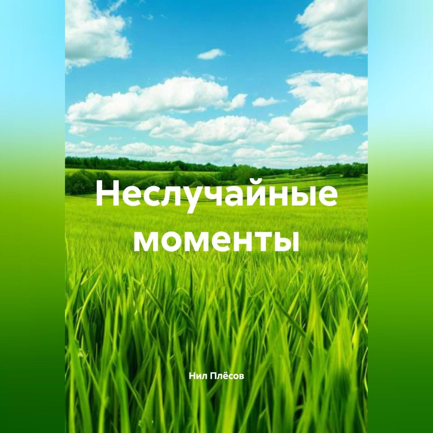 Обложка книги «Неслучайные моменты»