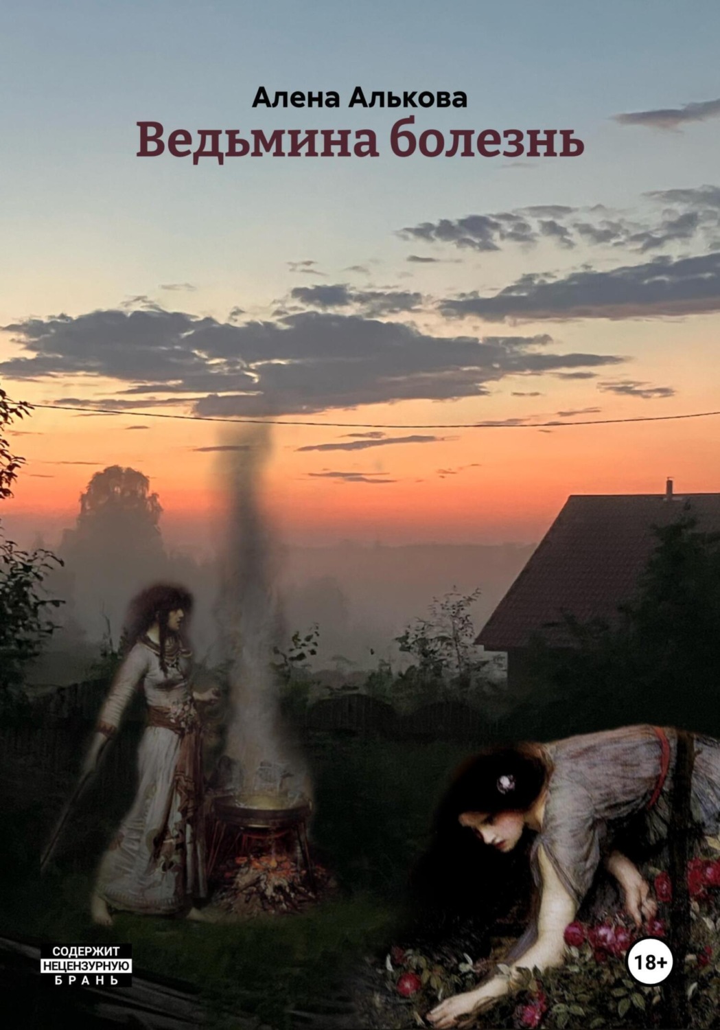 Обложка книги «Ведьмина болезнь»