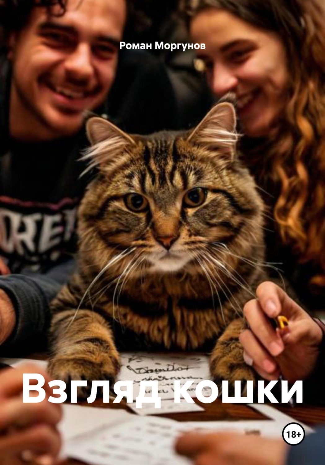 Обложка книги «Взгляд кошки»