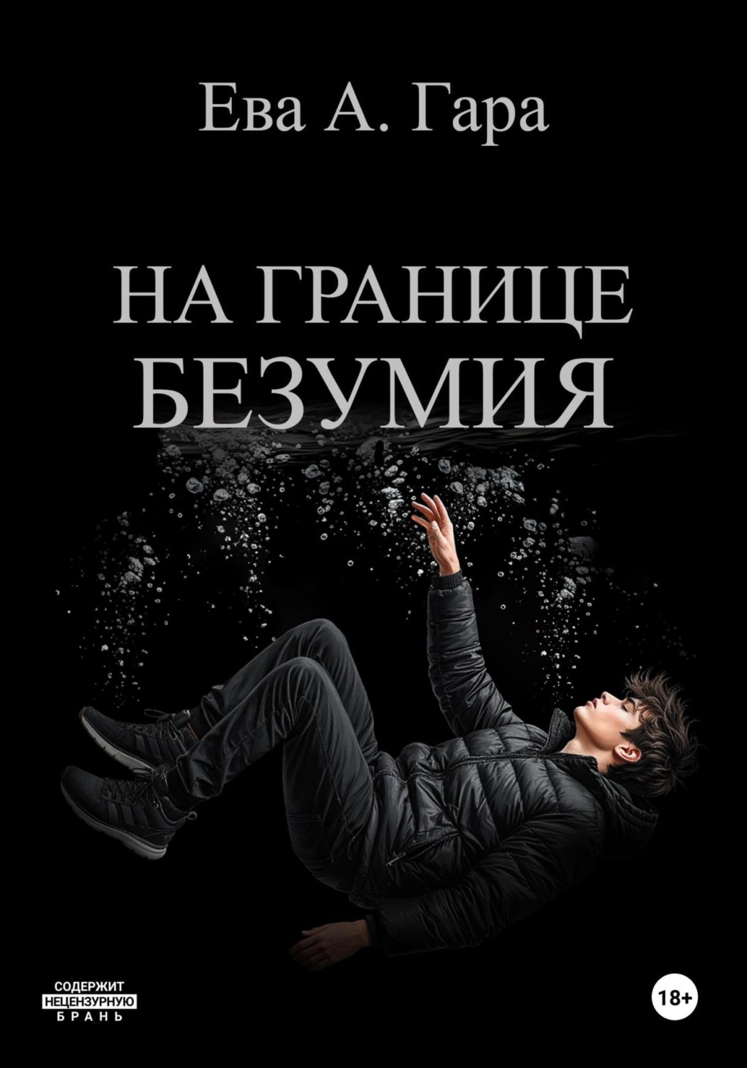 Обложка книги «На границе безумия»