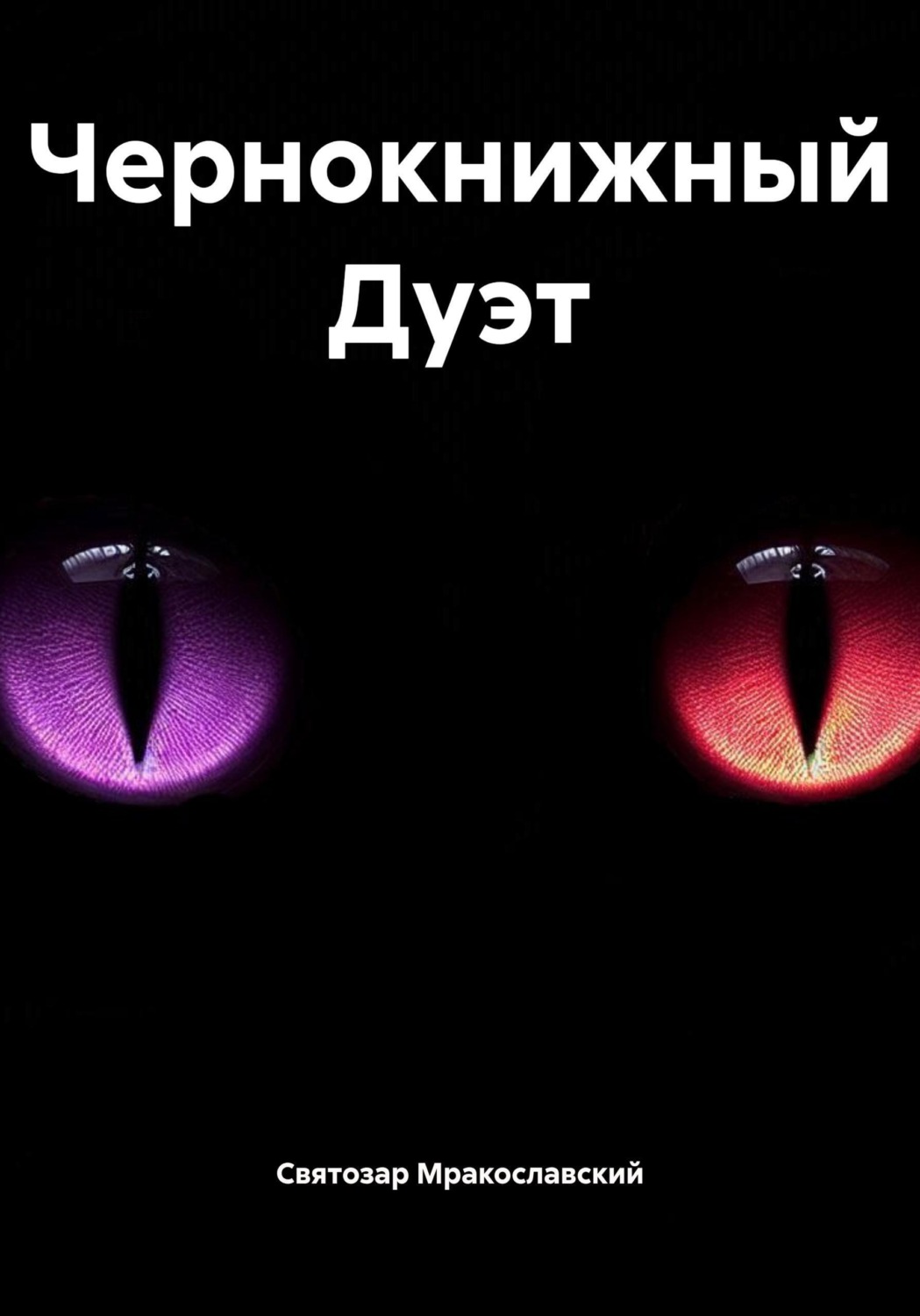 Обложка книги «Чернокнижный Дуэт»