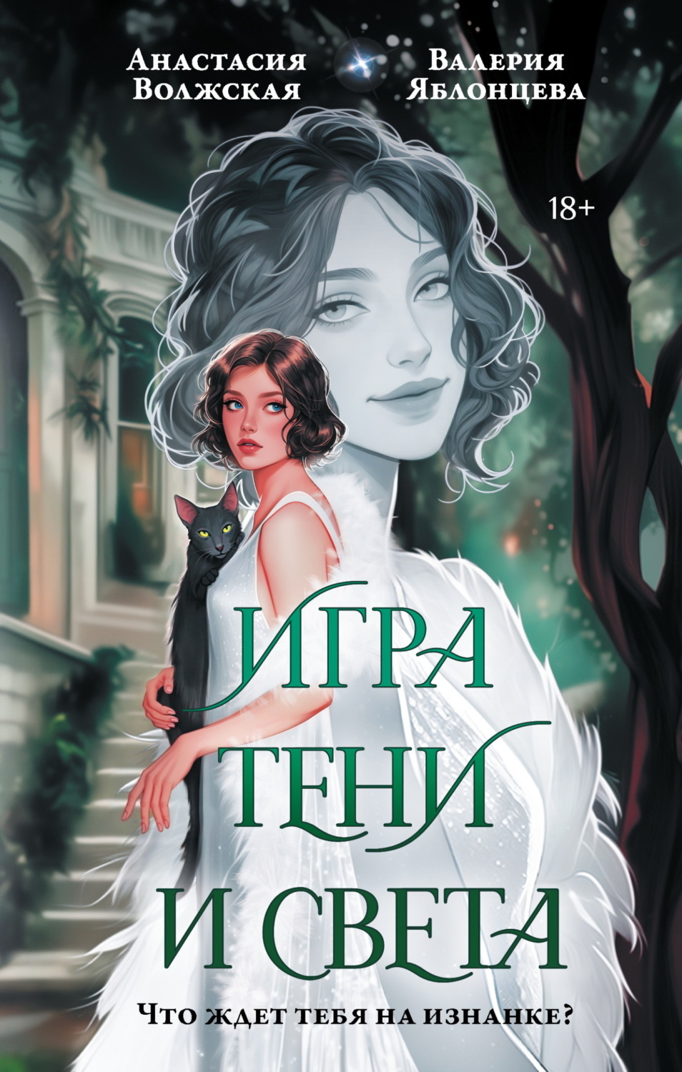 Обложка книги «Игра тени и света»