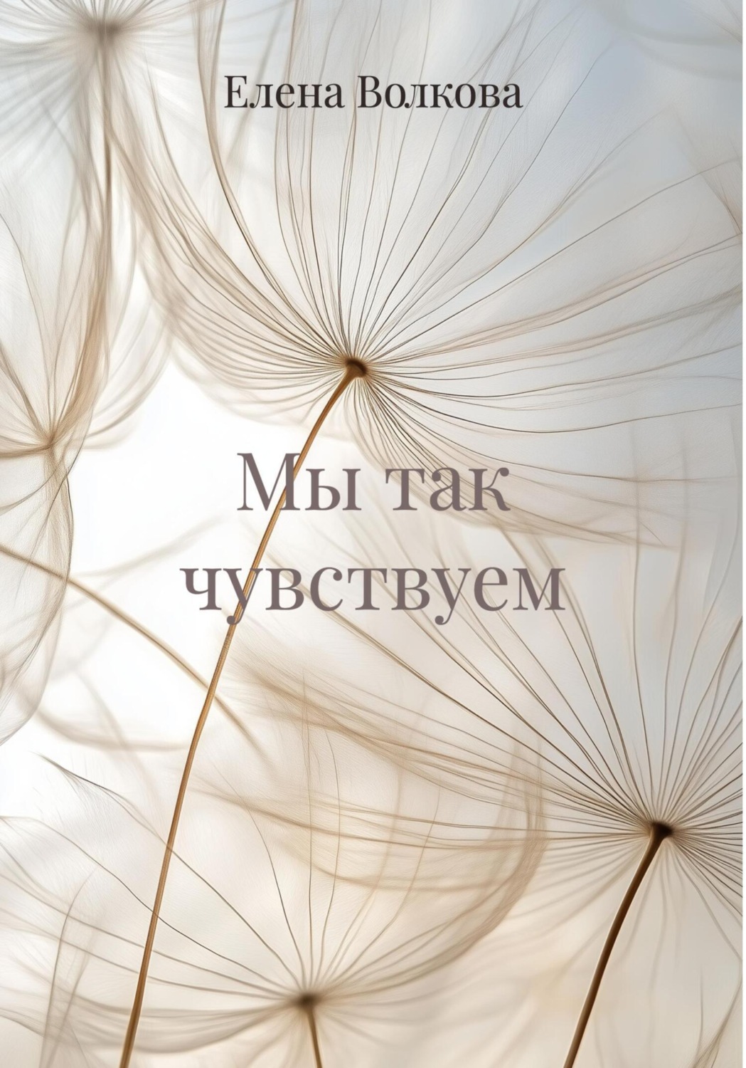 Обложка книги «Мы так чувствуем»