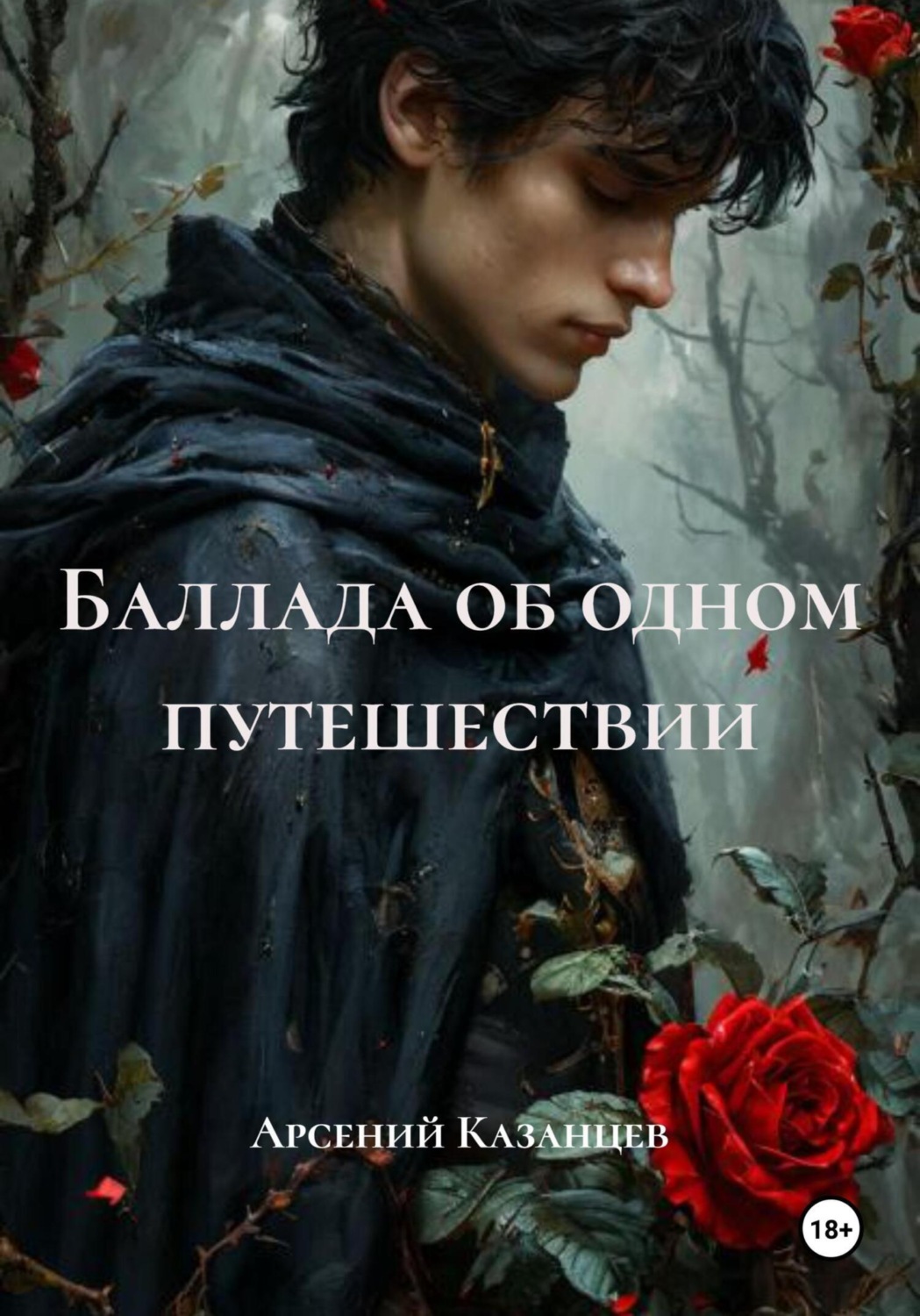 Обложка книги «Баллада об одном путешествии»