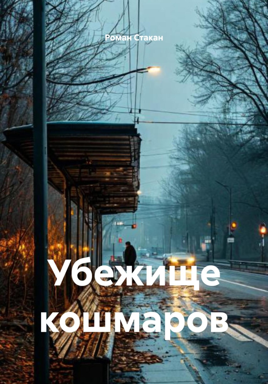 Обложка книги «Убежище кошмаров»