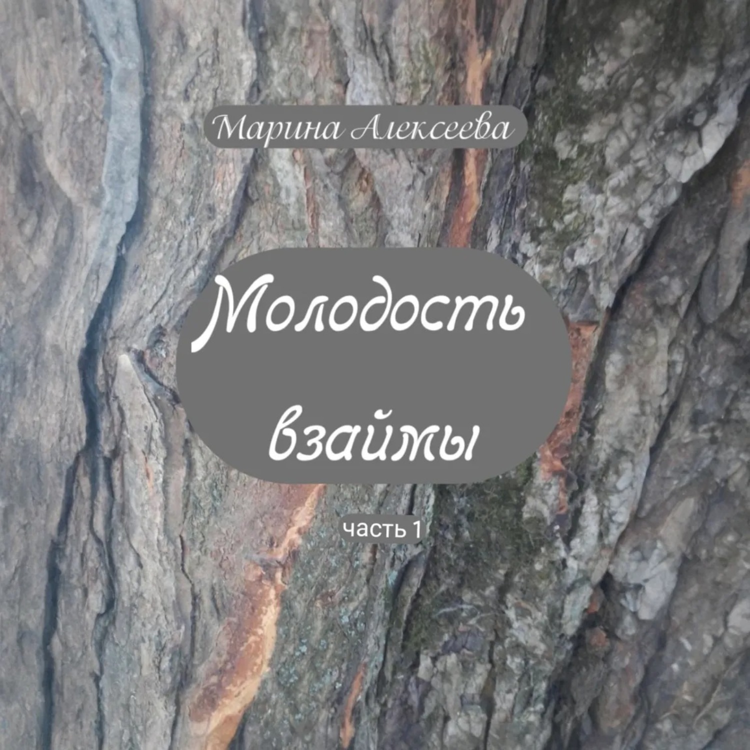 Обложка книги «Молодость взаймы»