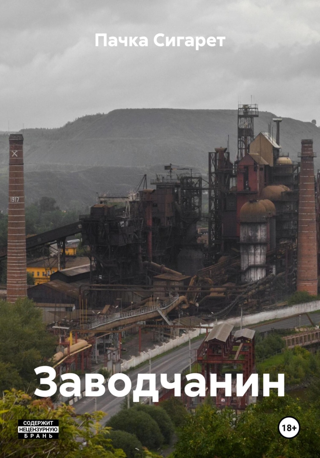 Обложка книги «Заводчанин»