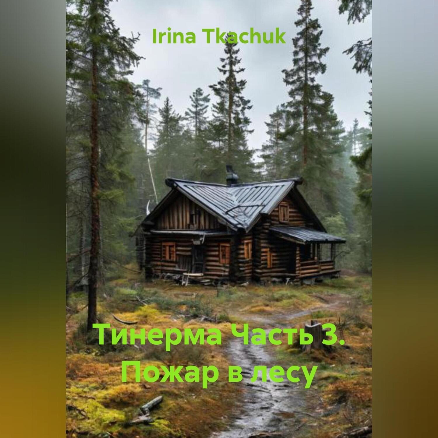 Обложка книги «Тинерма Часть 3. Пожар в лесу»