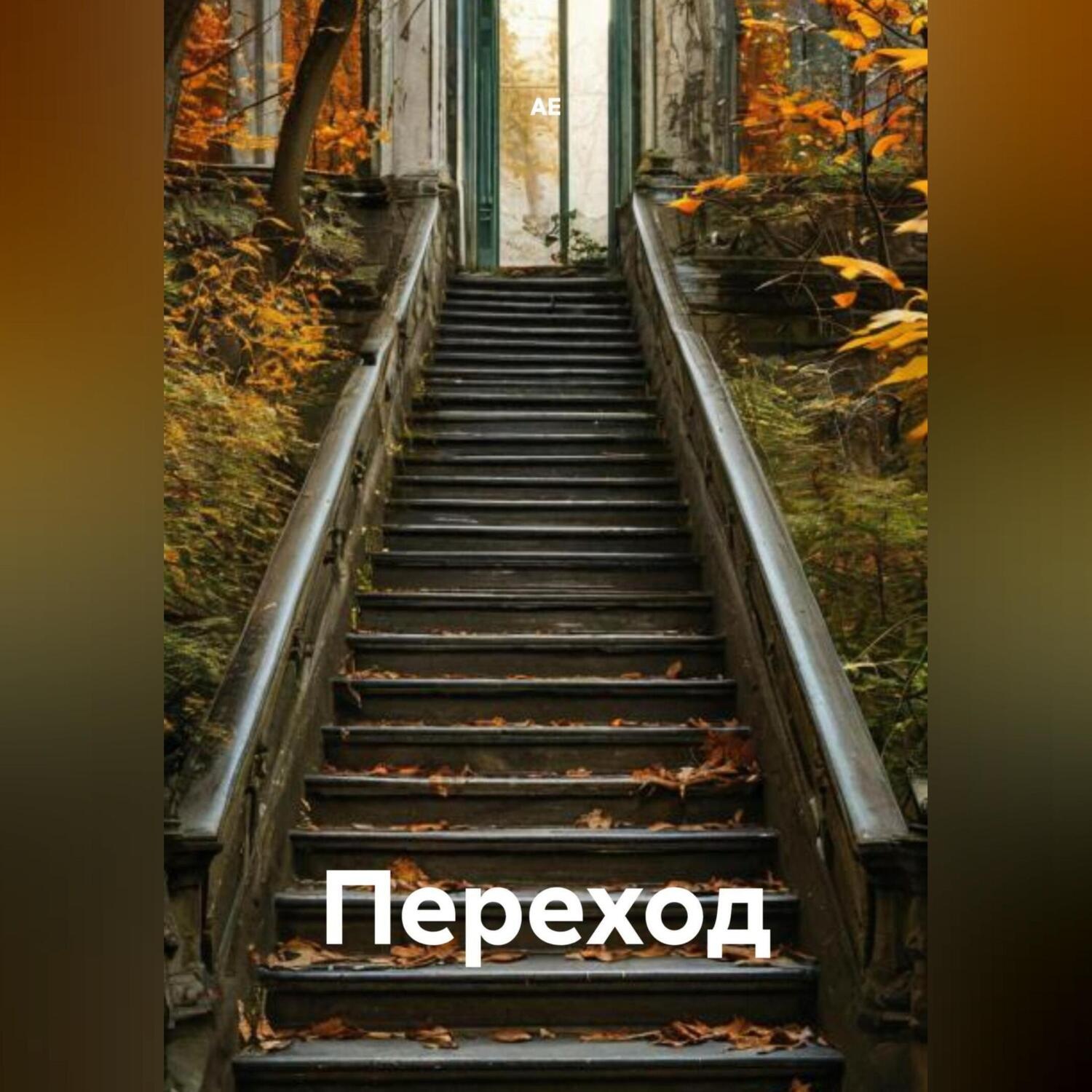 Обложка книги «Переход»