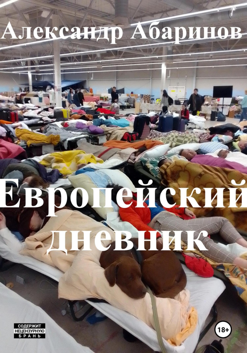 Обложка книги «Европейский дневник. 2022-2024. Расказы, очерки, эссе»