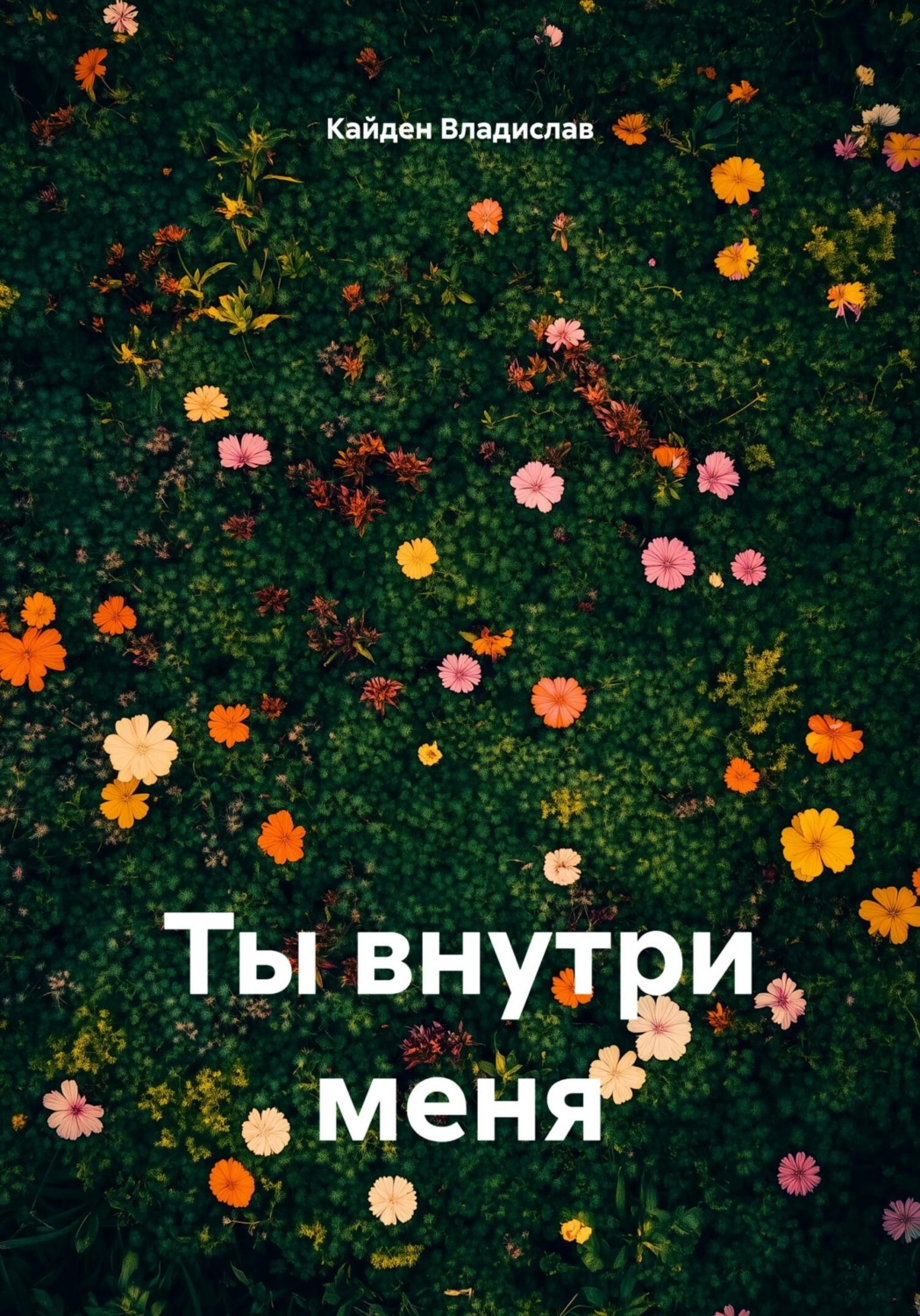 Обложка книги «Ты внутри меня»