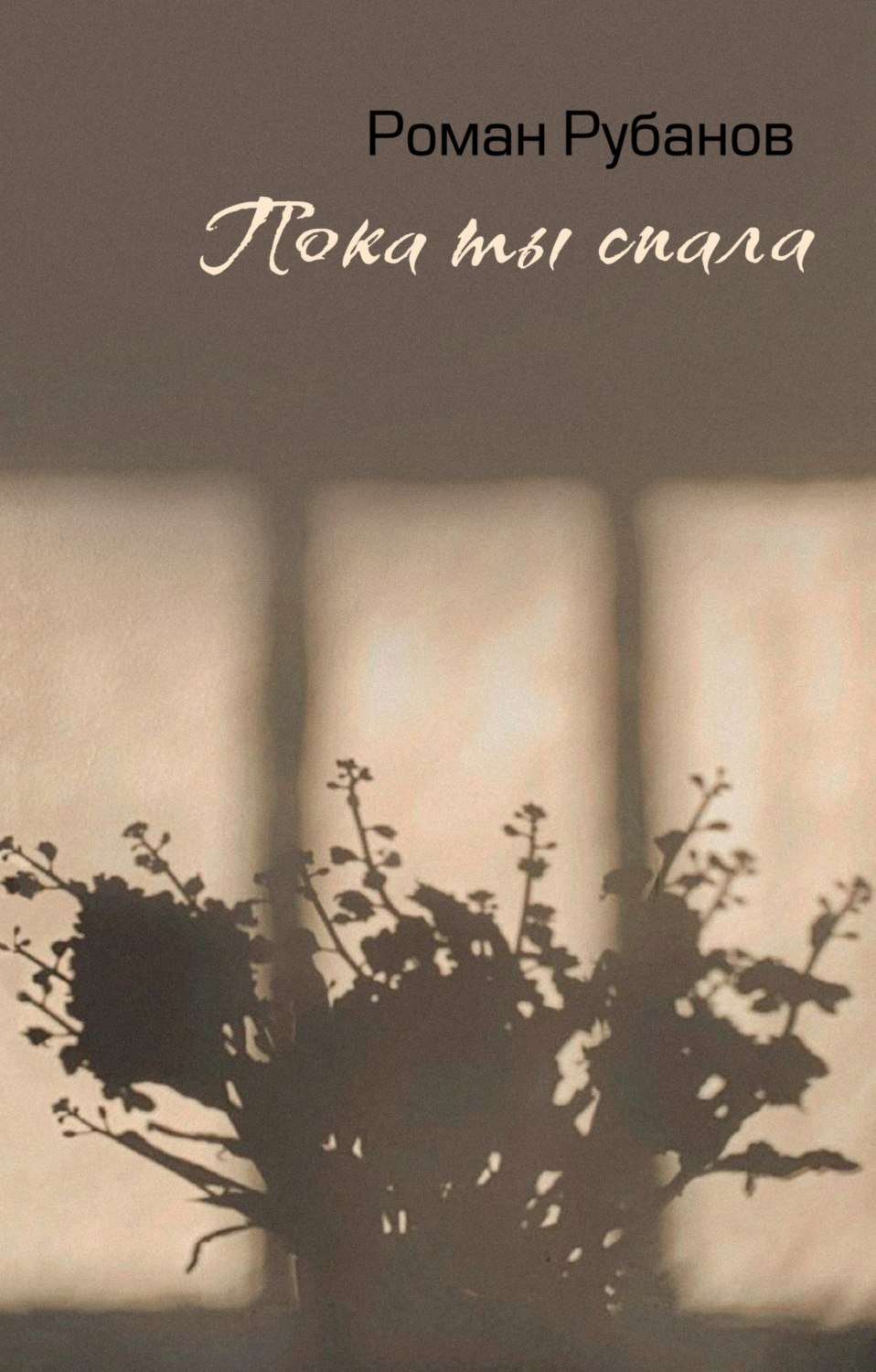 Обложка книги «Пока ты спала»