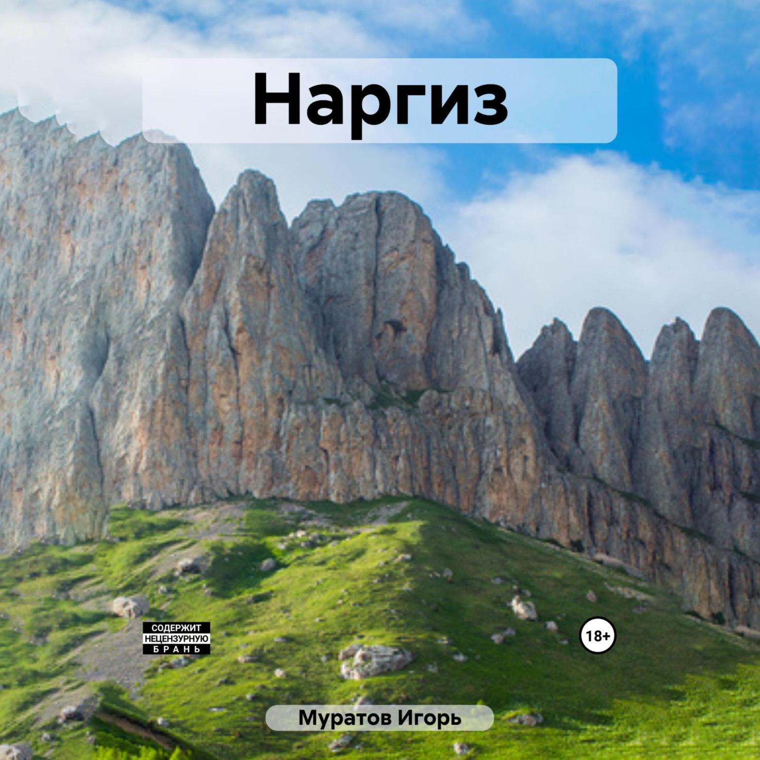 Обложка книги «Наргиз»