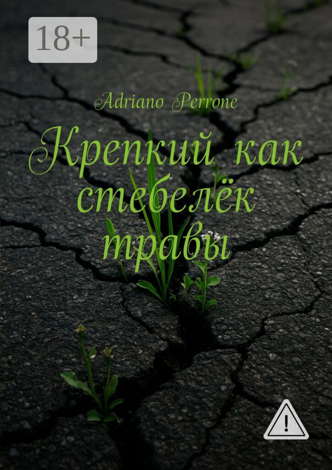 Обложка книги «Крепкий как стебелёк травы»