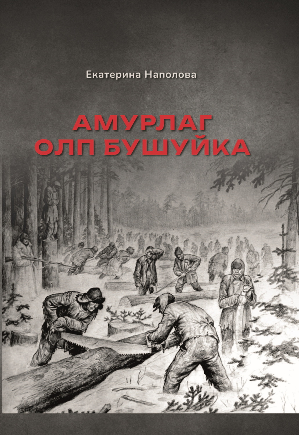 Обложка книги «Амурлаг ОЛП Бушуйка»