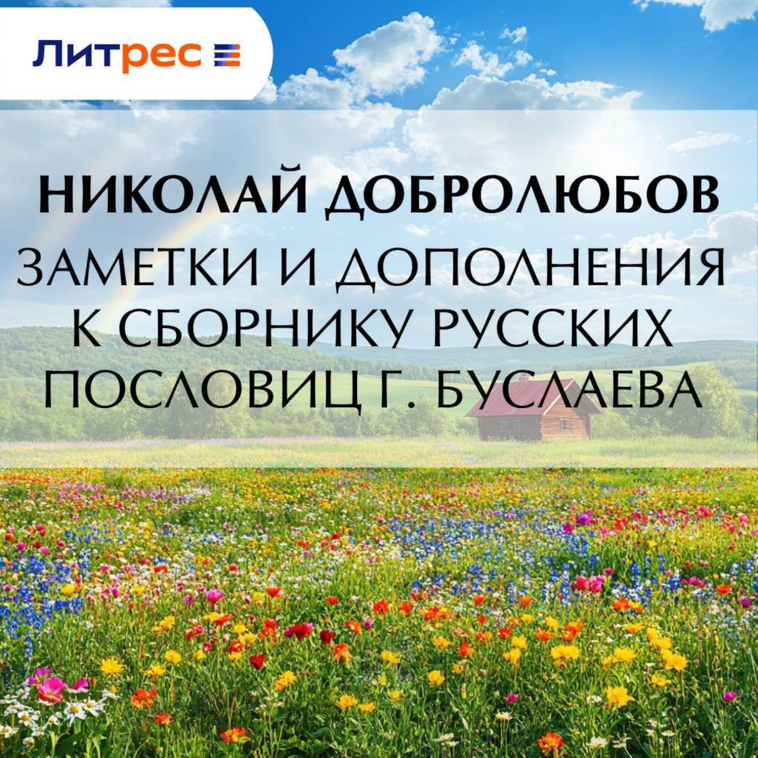 Обложка книги «Заметки и дополнения к сборнику русских пословиц г. Буслаева»