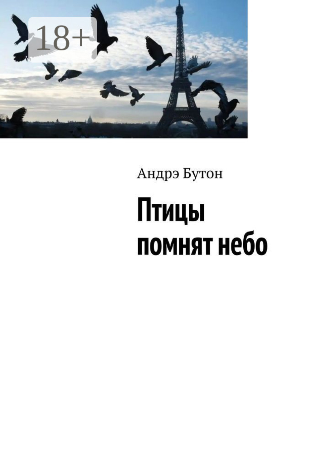 Обложка книги «Птицы помнят небо»