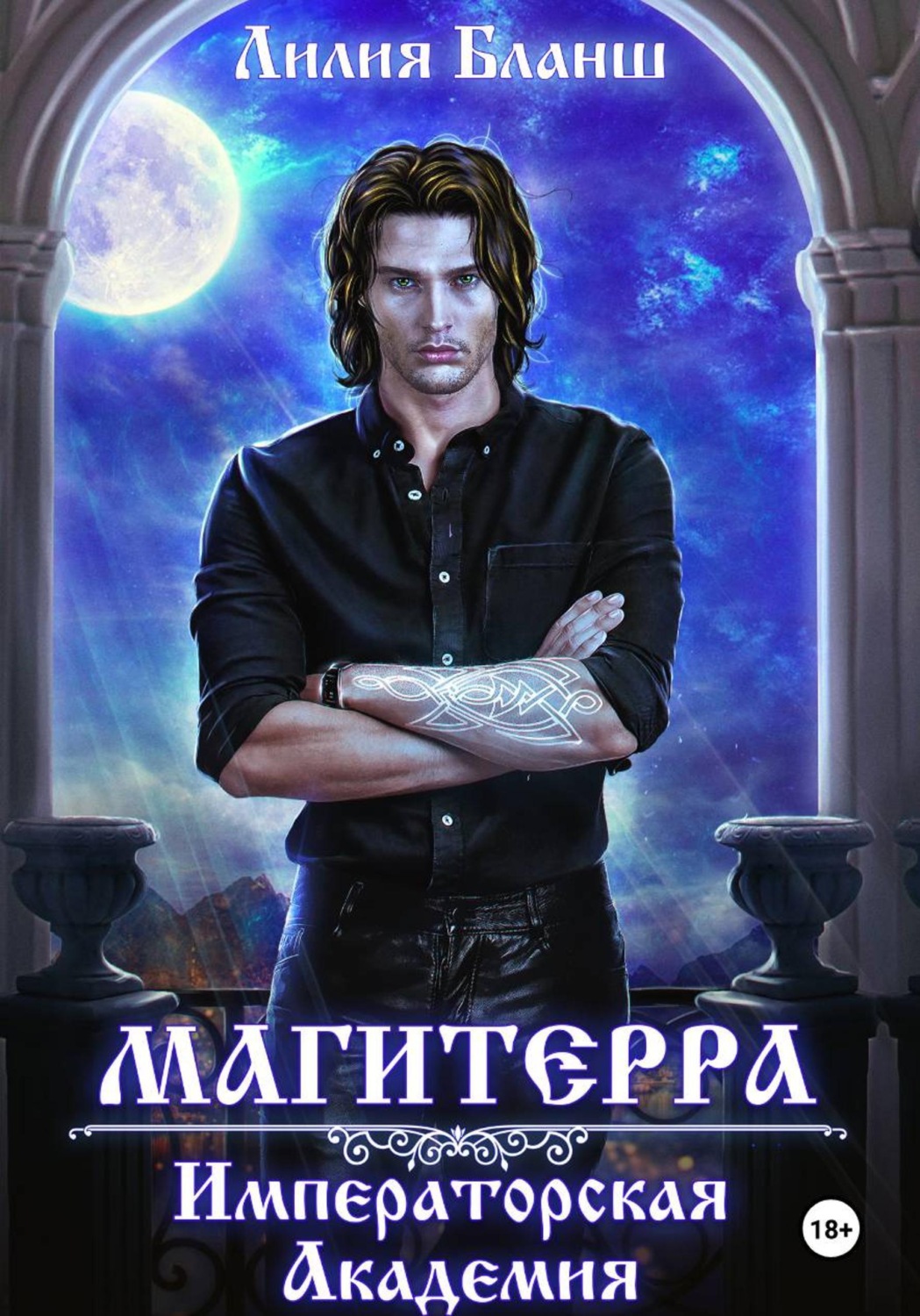 Обложка книги «Магитерра. Императорская Академия»