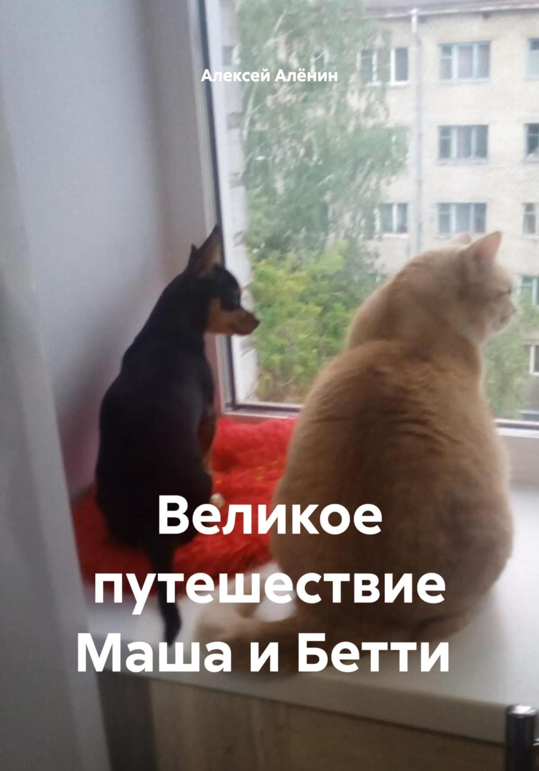 Обложка книги «Великое путешествие Маша и Бетти»