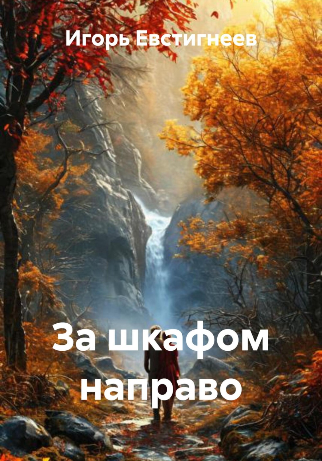 Обложка книги «За шкафом направо»