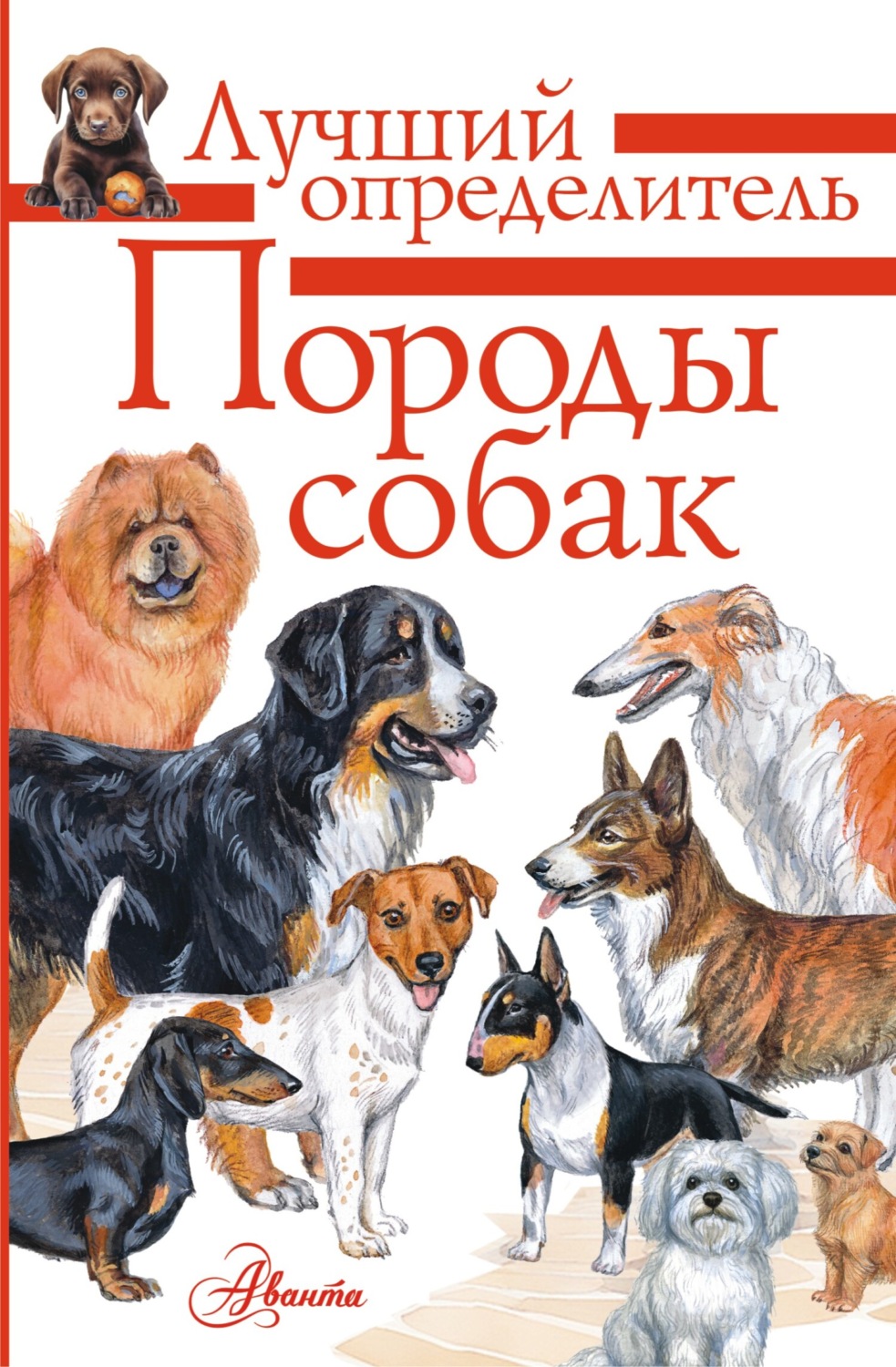 Обложка книги «Породы собак. Определитель»