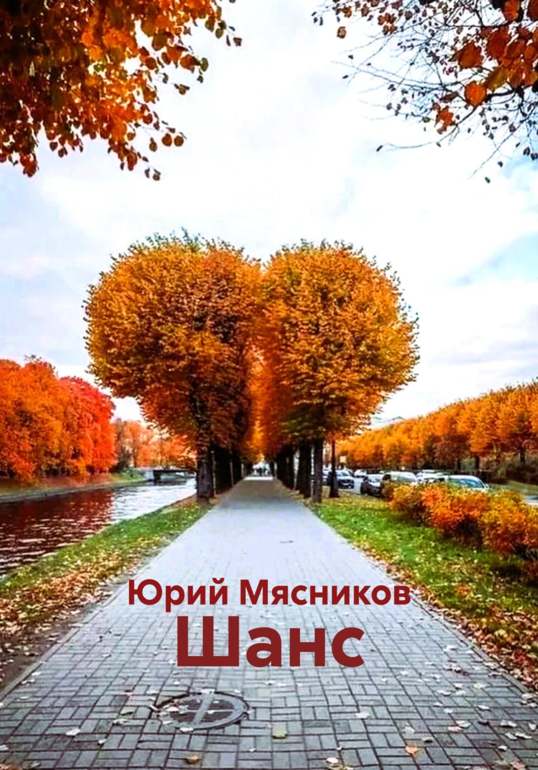 Обложка книги «Шанс»
