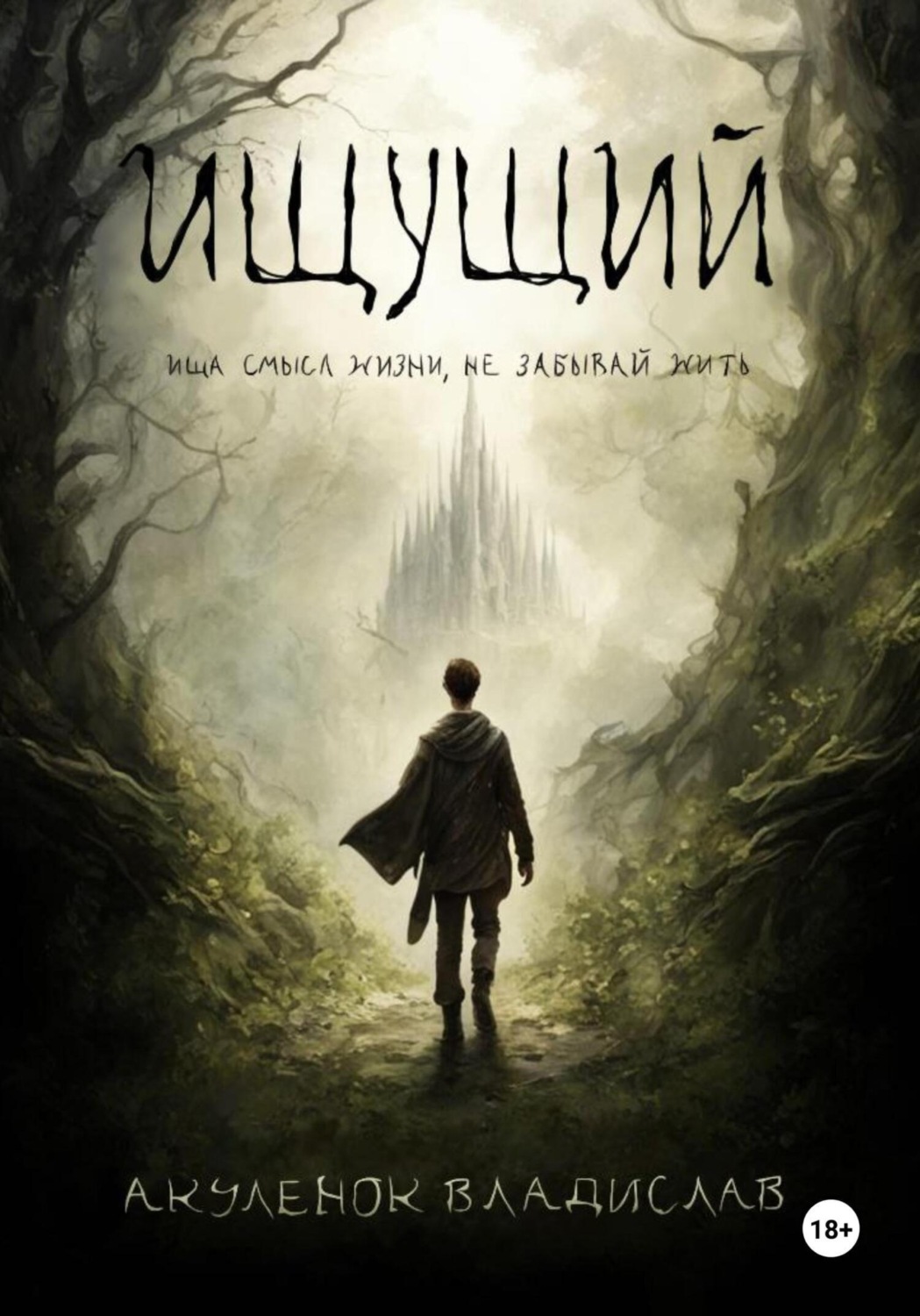 Обложка книги «Ищущий»