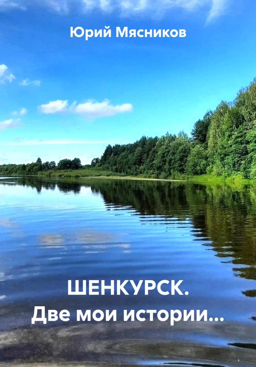 Обложка книги «ШЕНКУРСК. Две мои истории…»