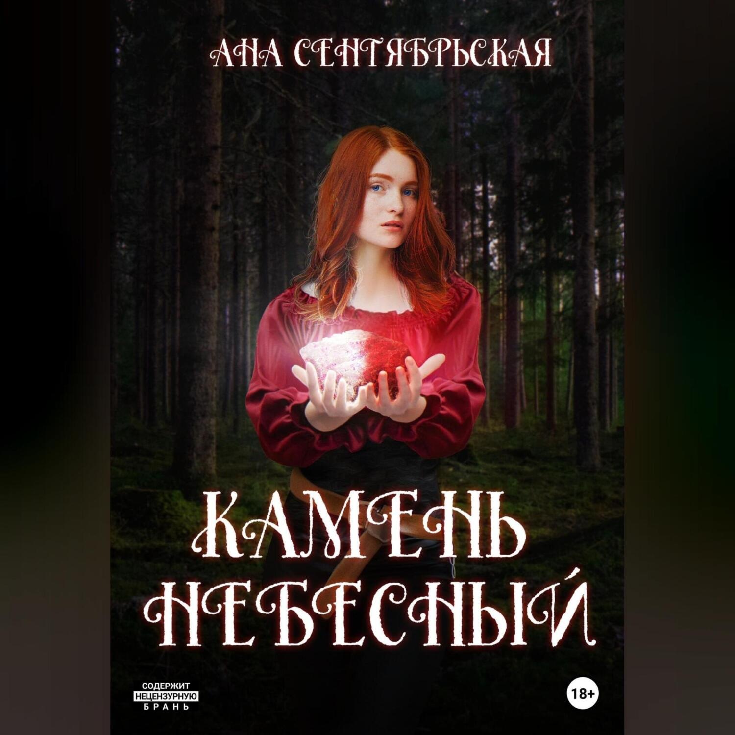 Обложка книги «Камень Небесный»