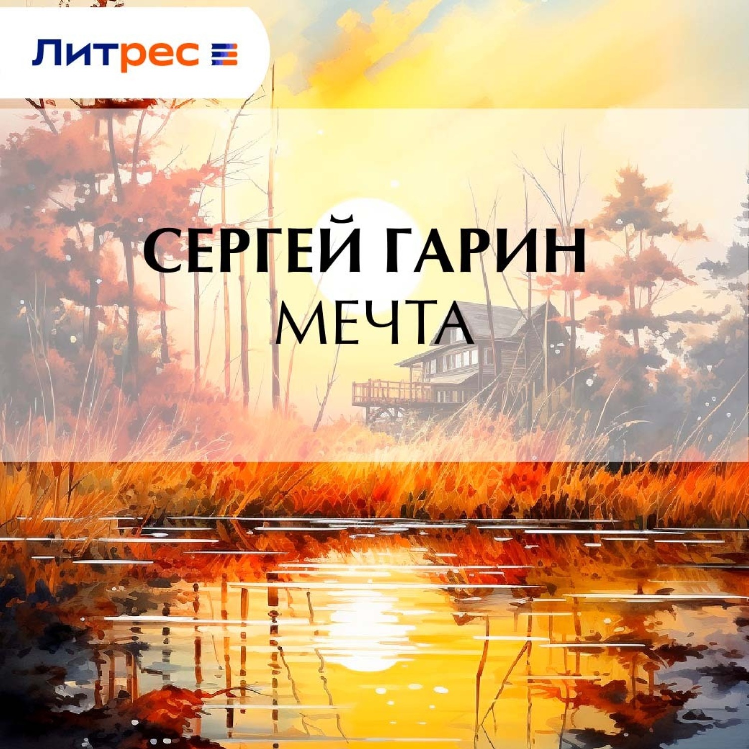 Обложка книги «Мечта»