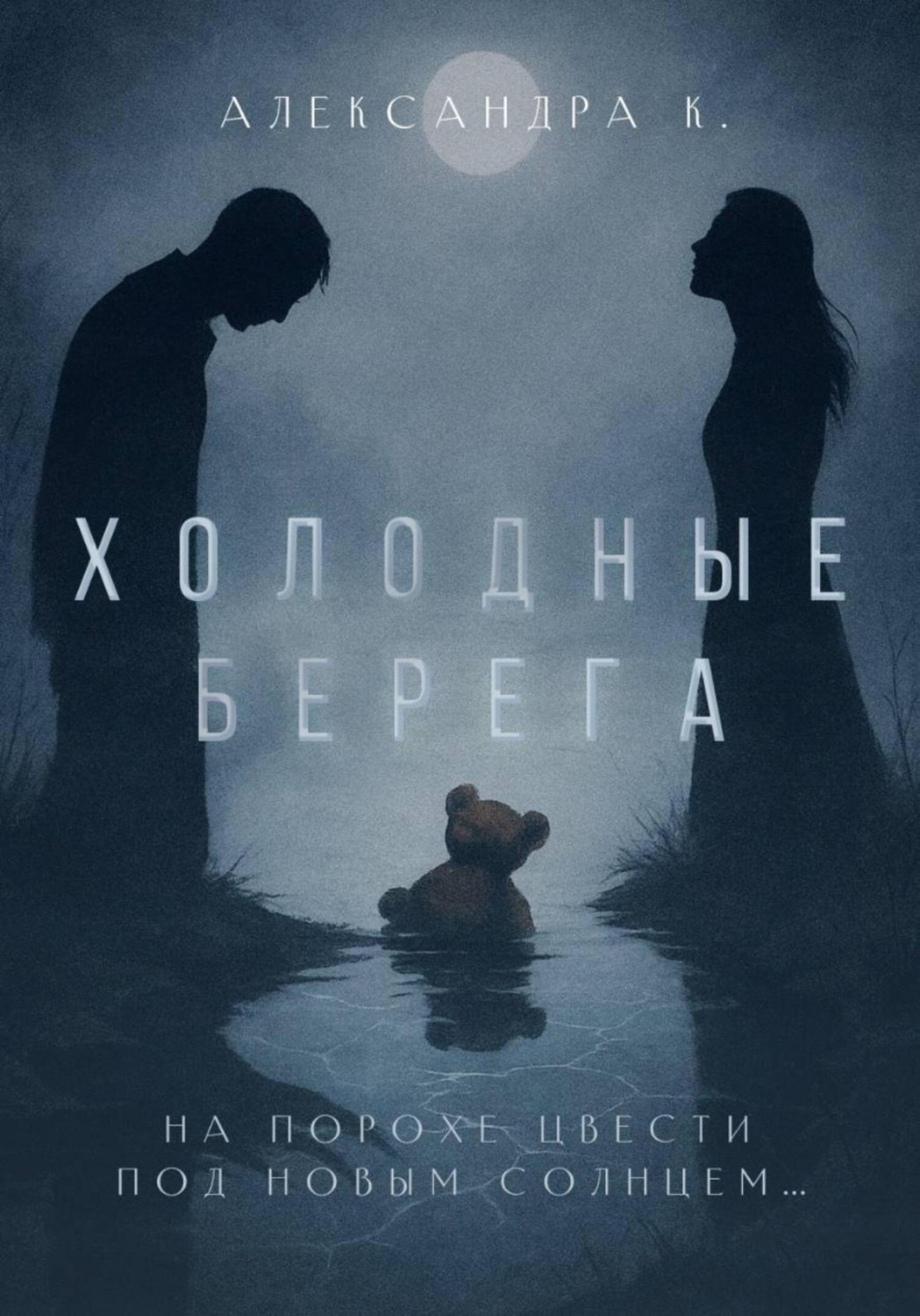 Обложка книги «Холодные берега»