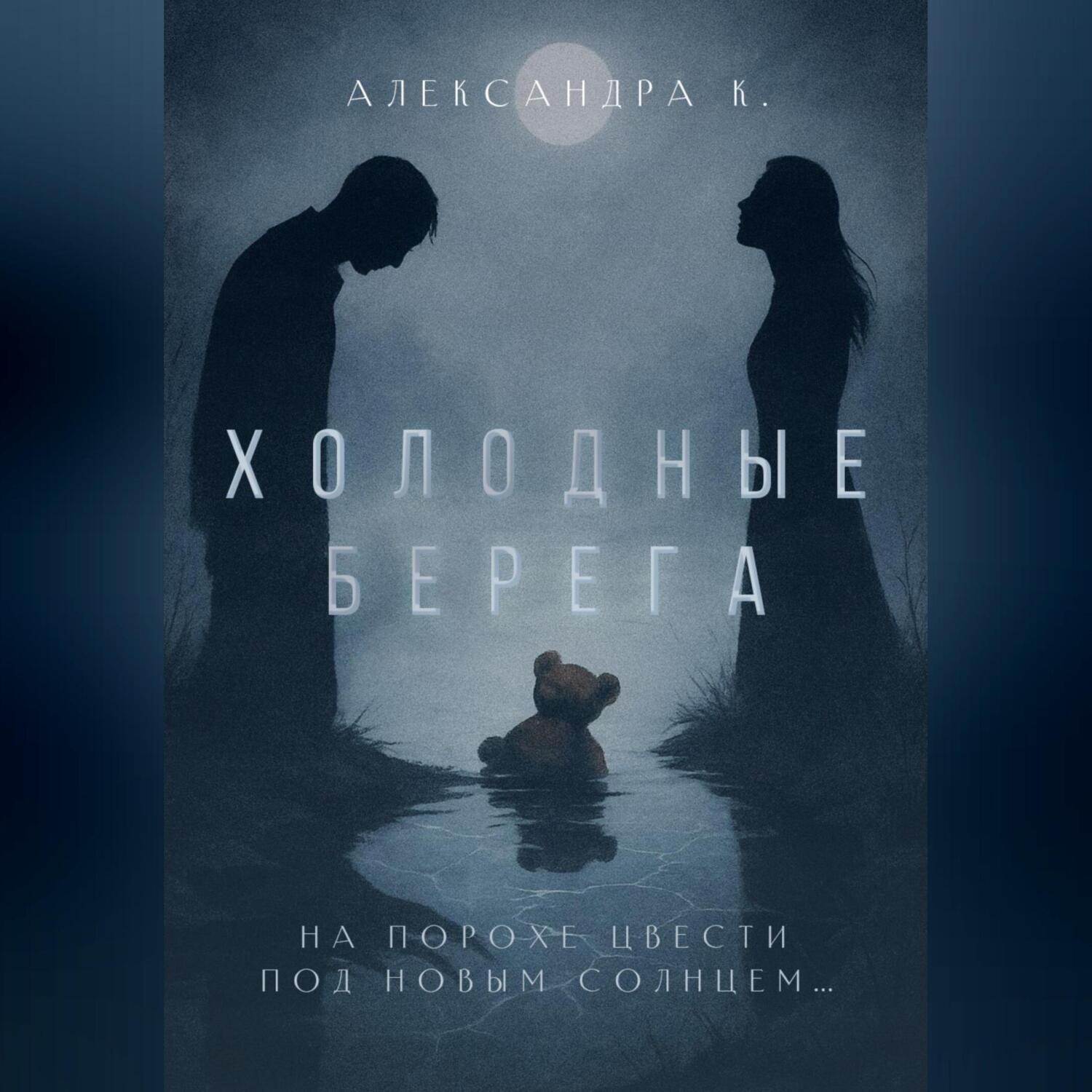 Обложка книги «Холодные берега»