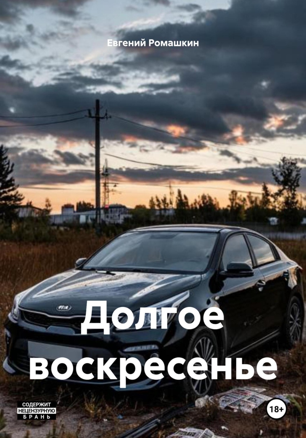 Обложка книги «Долгое воскресенье»