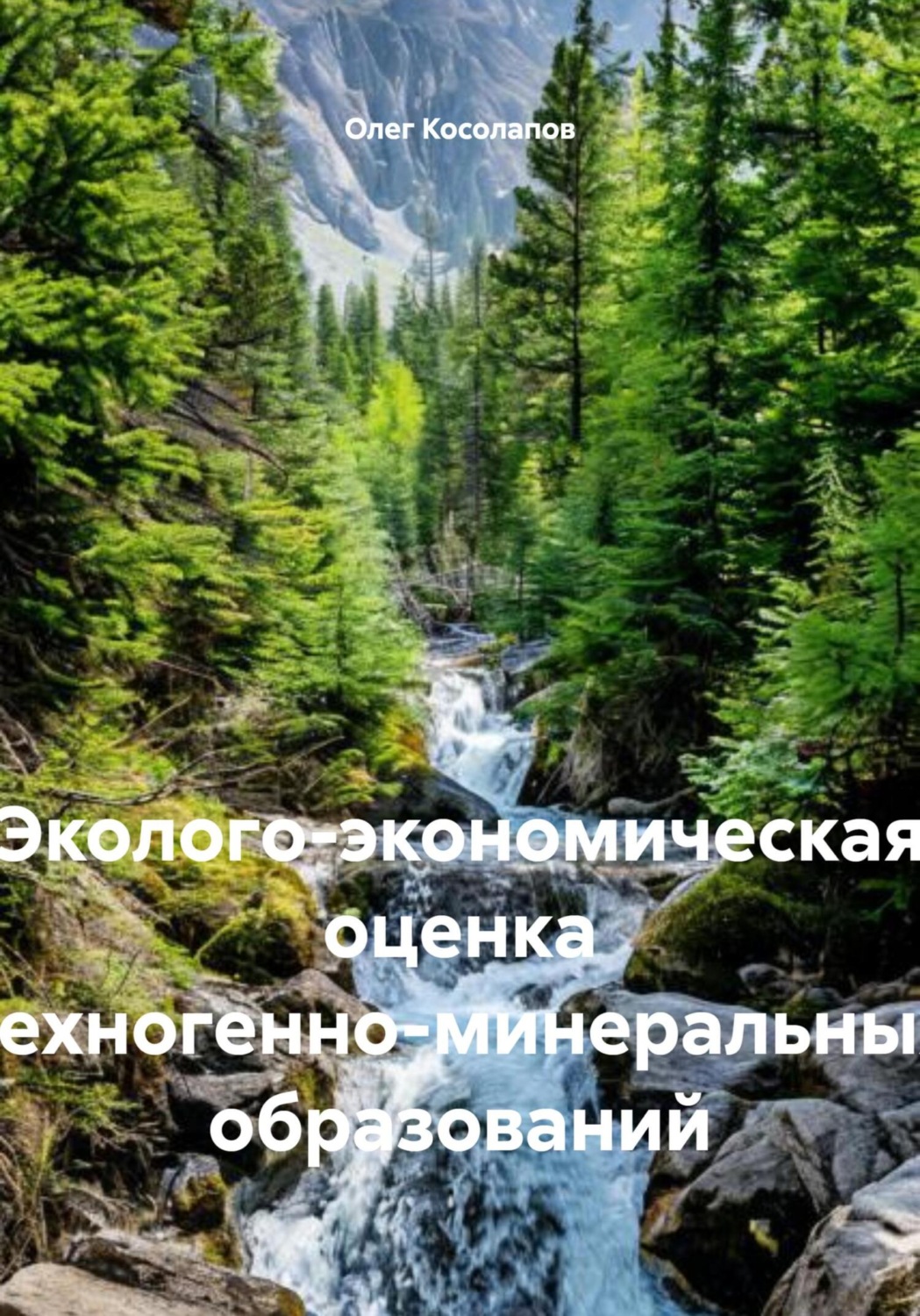 Обложка книги «Эколого-экономическая оценка техногенно-минеральных образований»