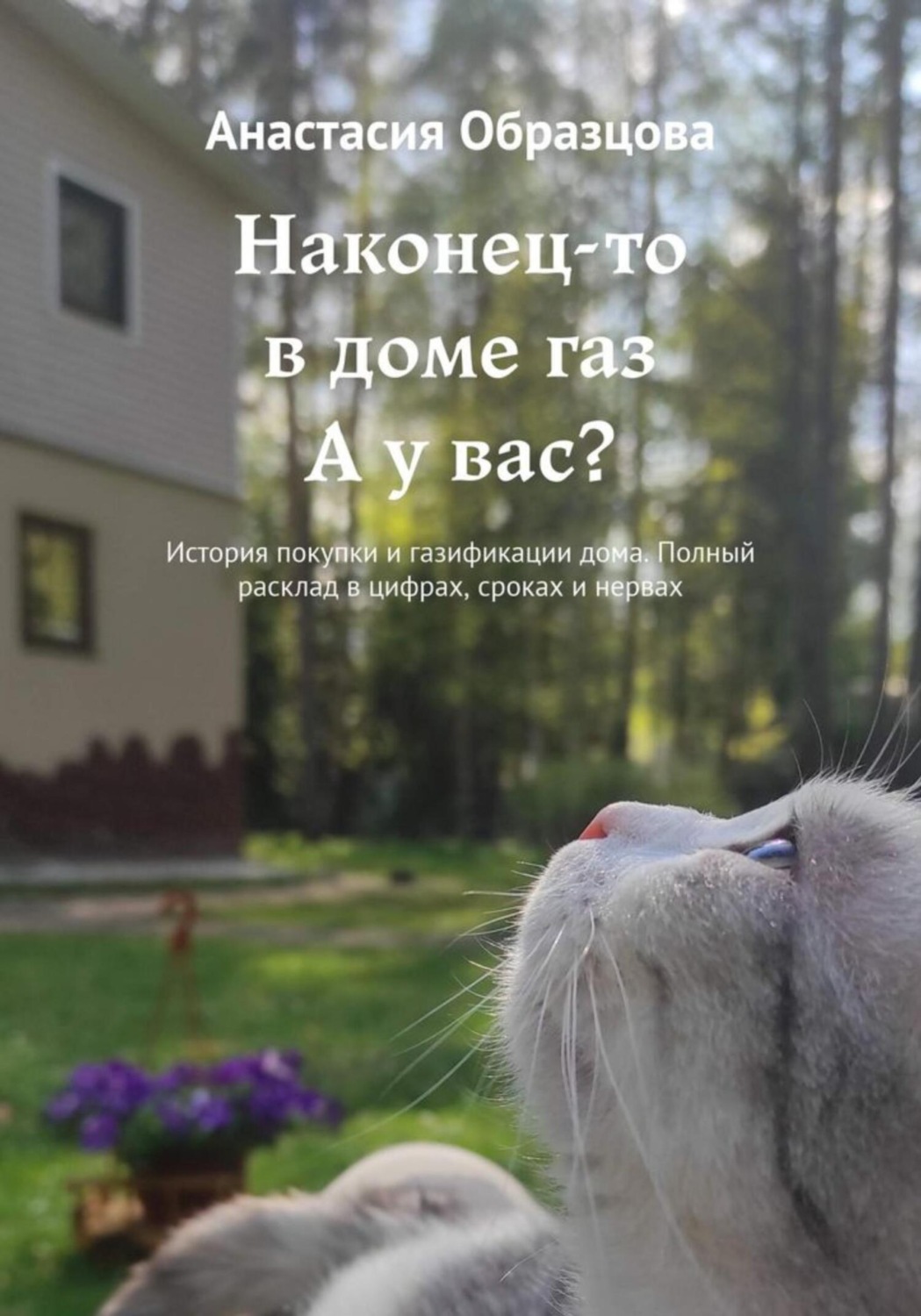 Обложка книги «Наконец-то в доме газ. А у вас?»