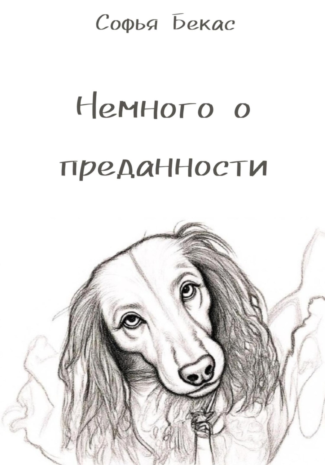 Обложка книги «Немного о преданности»