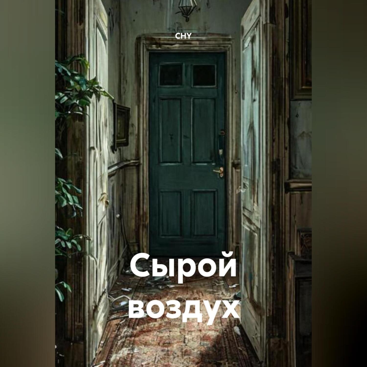 Обложка книги «Сырой воздух»