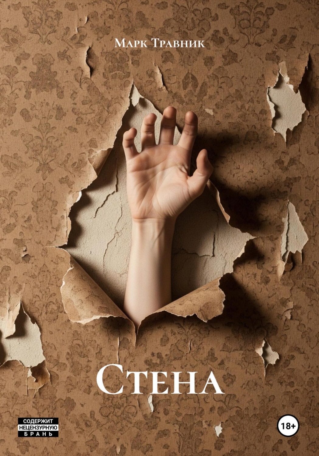 Обложка книги «Стена»