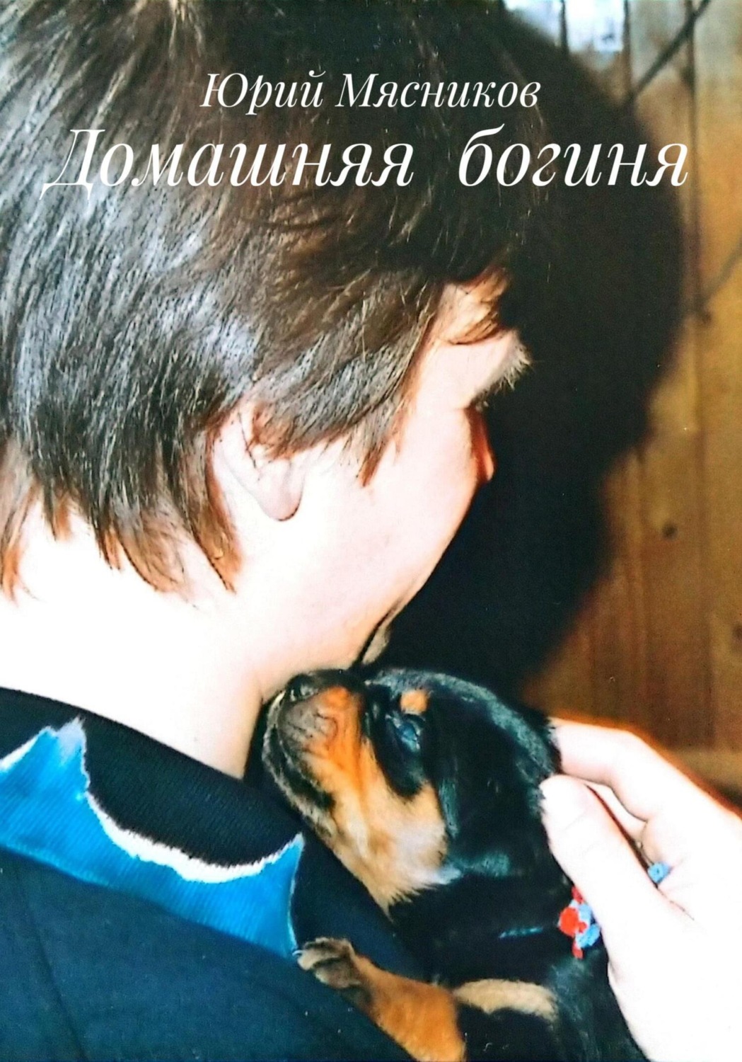Обложка книги «Домашняя богиня»