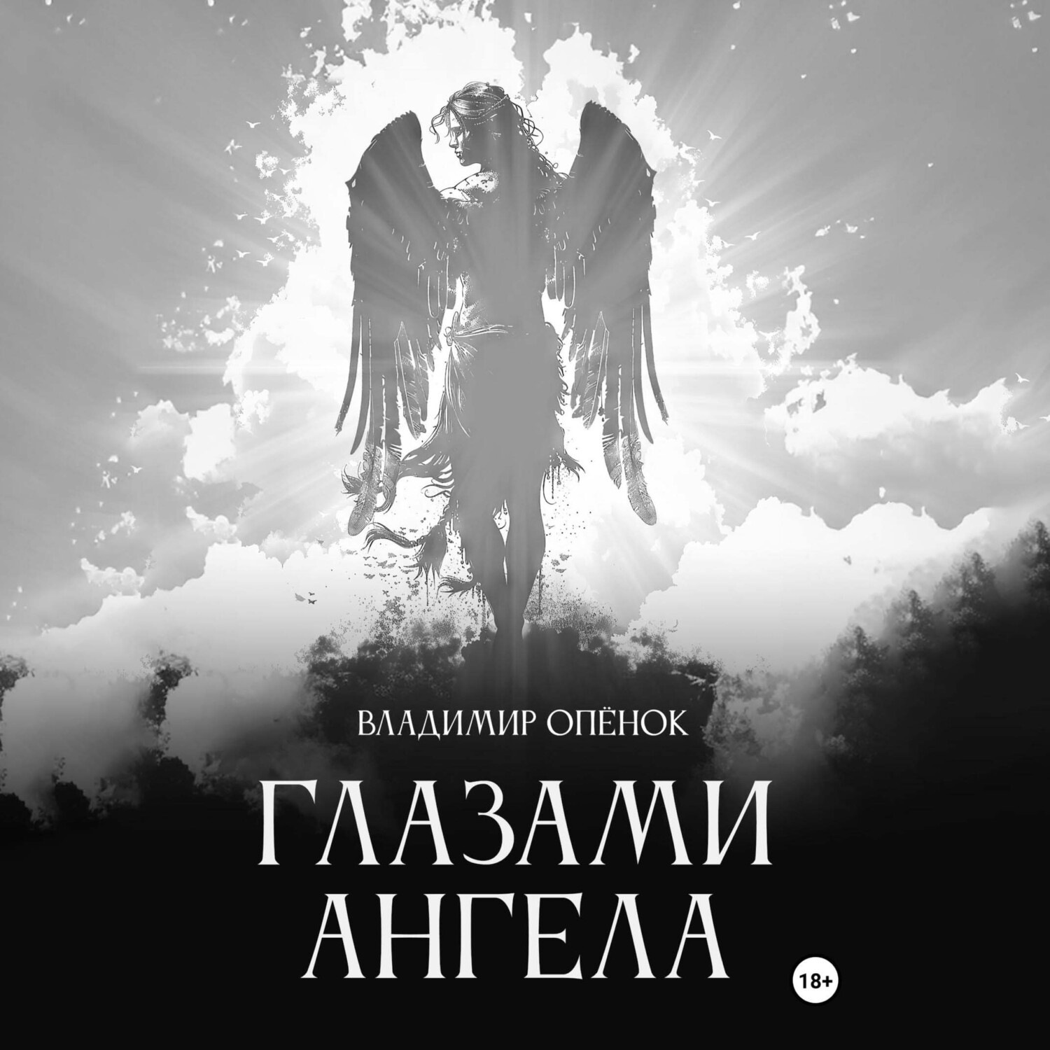 Обложка книги «Глазами Ангела»