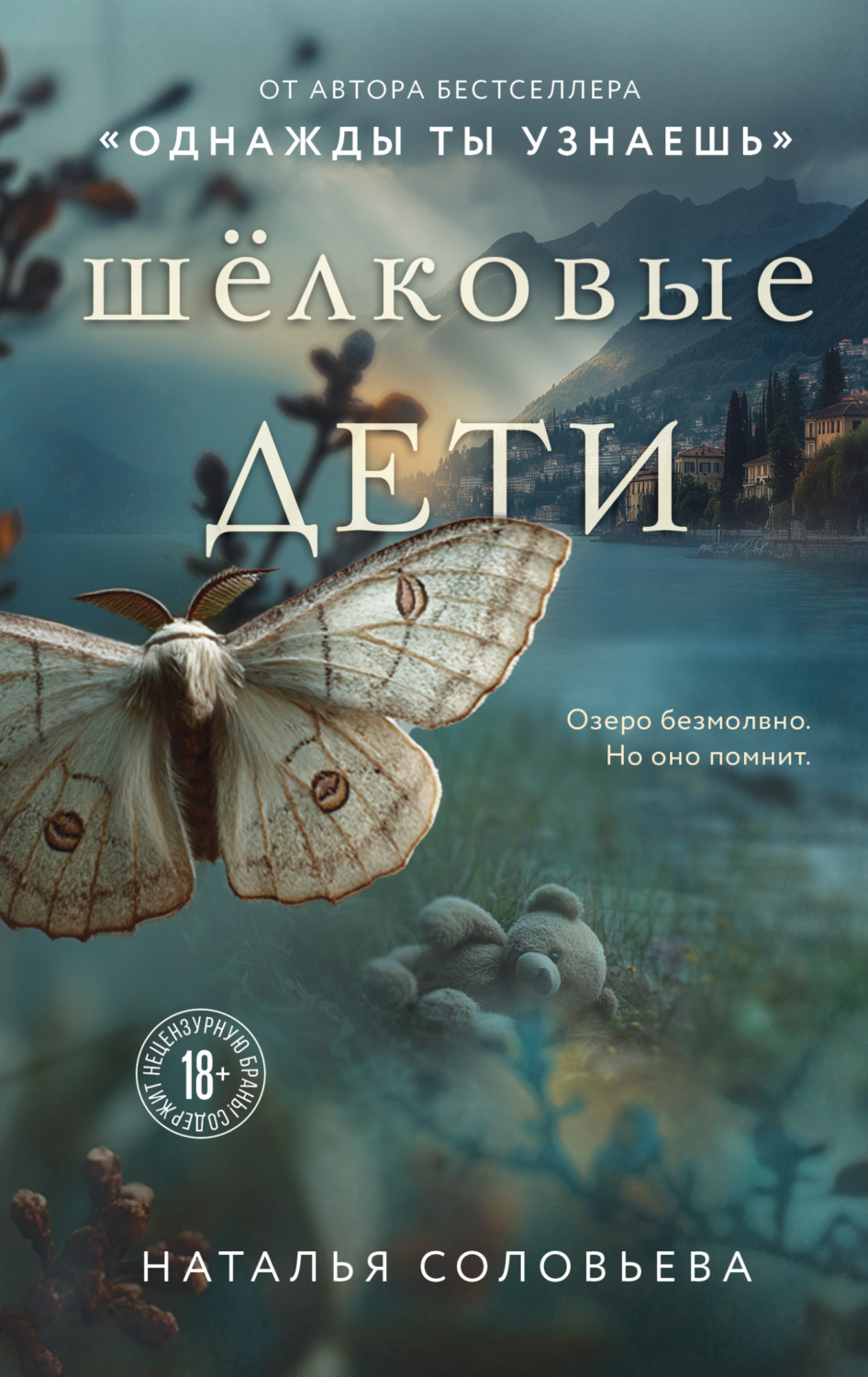 Обложка книги «Шелковые дети»