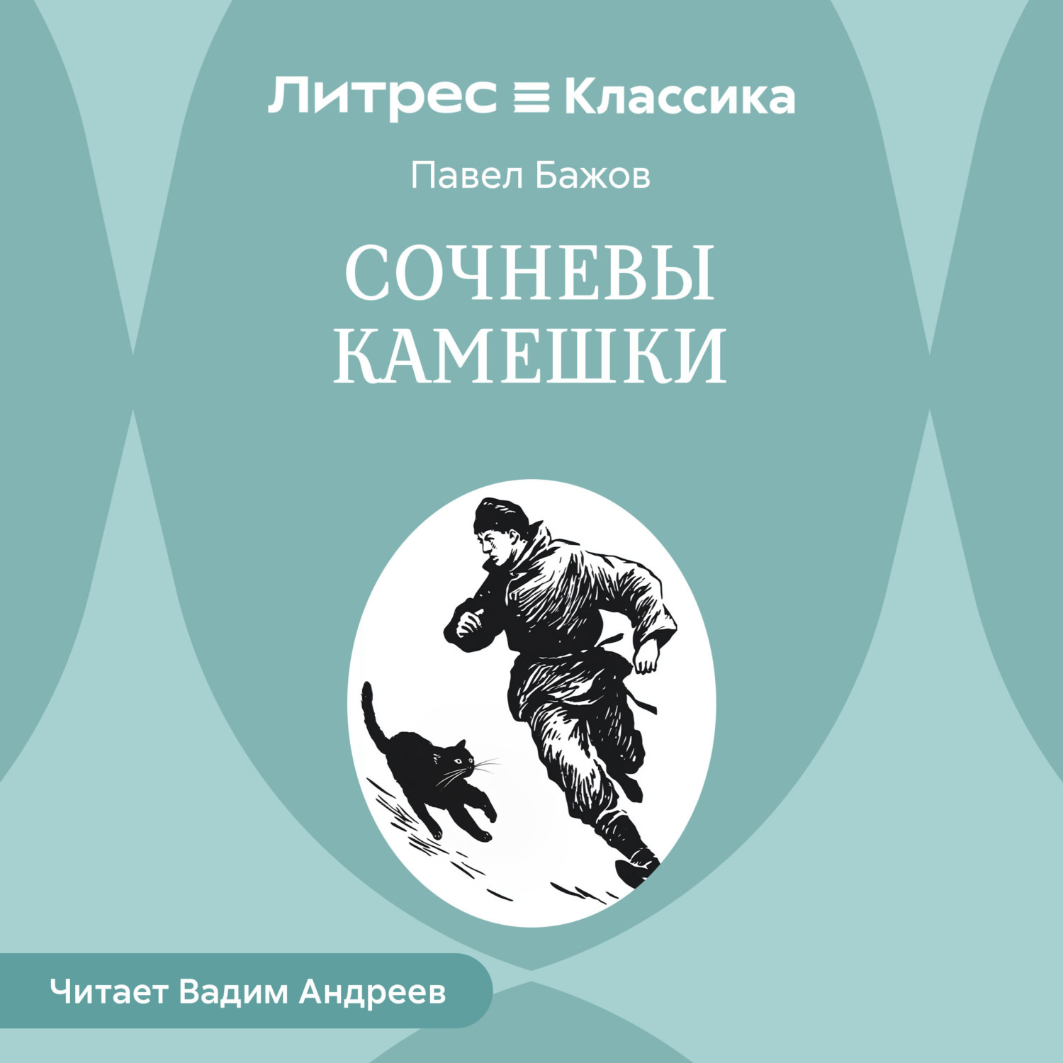 Обложка книги «Сочневы камешки»