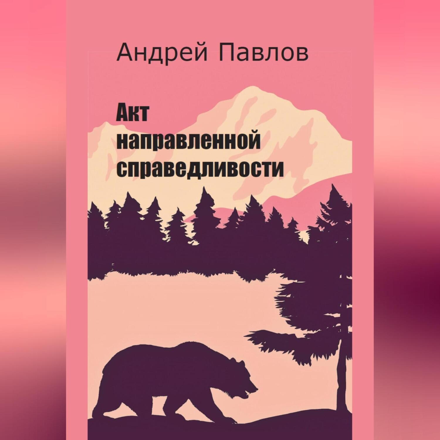 Обложка книги «Акт направленной справедливости»