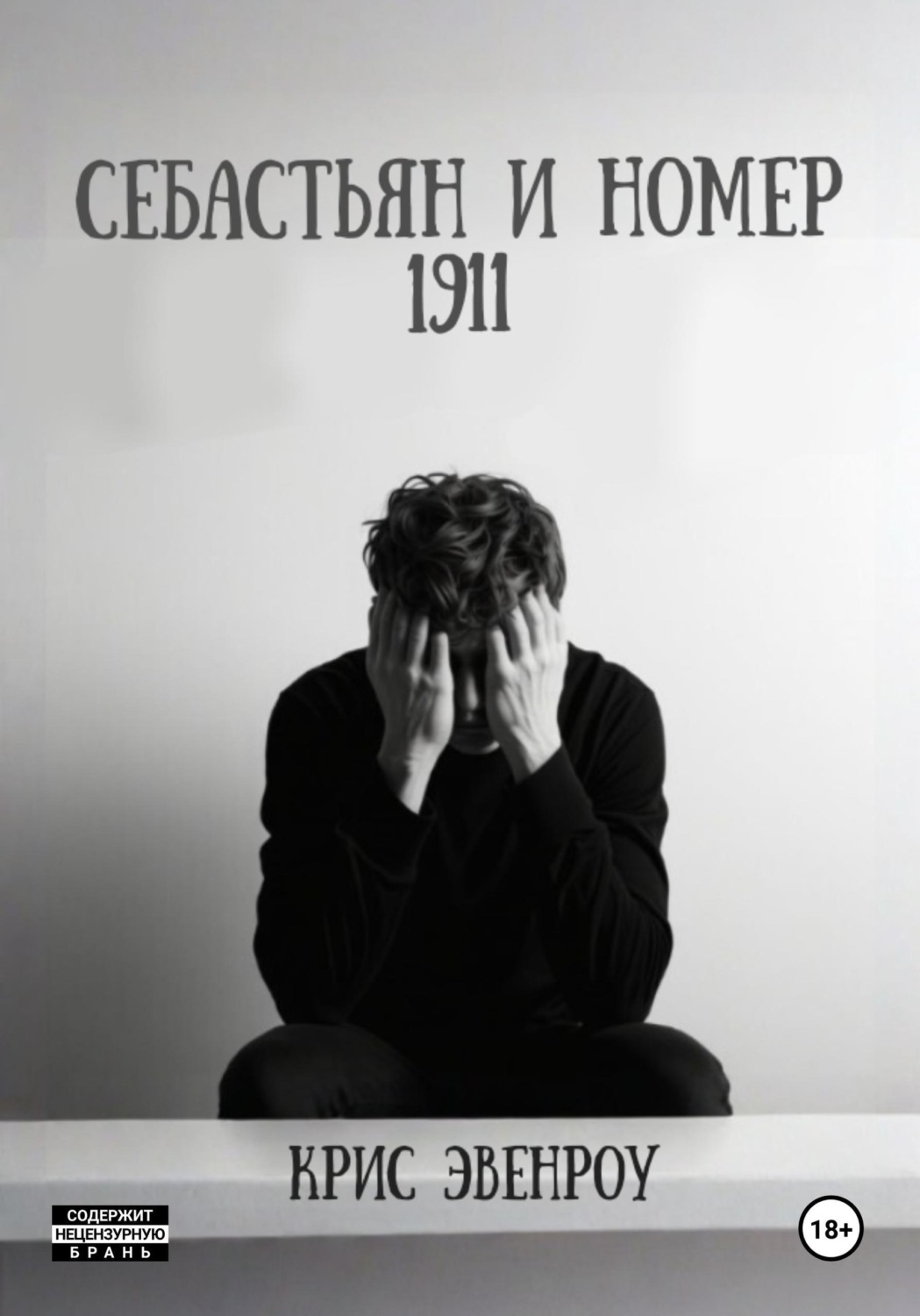 Обложка книги «Себастьян и номер 1911»