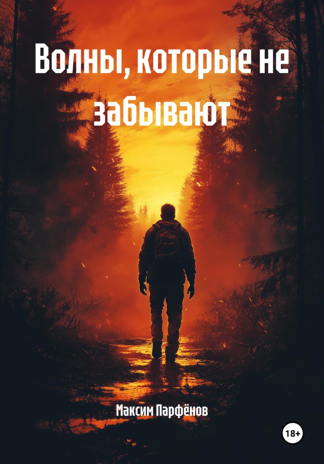 Обложка книги «Волны, которые не забывают»