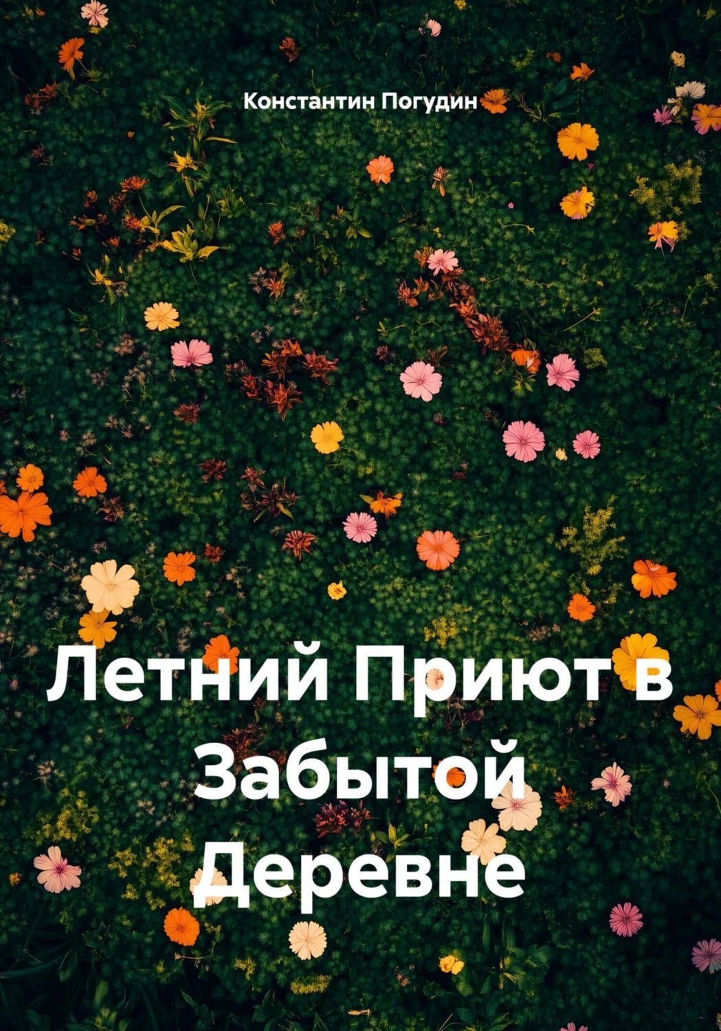 Обложка книги «Летний Приют в Забытой Деревне»